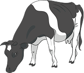 ការចិញ្ចឹមសត្វ